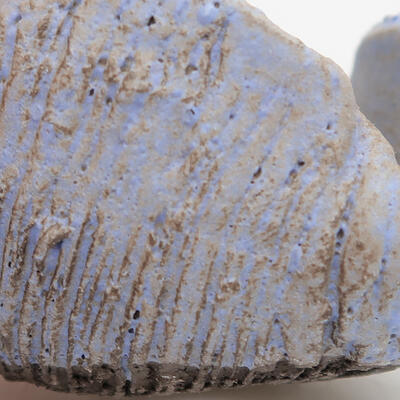 Ceramic Shell 7.5 x 7 x 4 cm, color blue - 3
