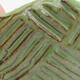 Ceramic shell 8.5 x 8 x 4.5 cm, color green - 3/3