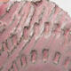 Ceramic shell 8 x 7 x 4 cm, color pink - 3/3