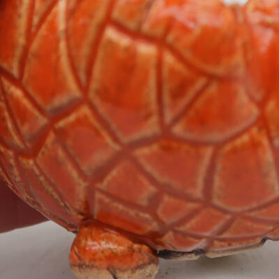 Ceramic shell 8 x 8 x 5 cm, color orange - 3