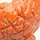 Ceramic shell 9 x 9 x 6 cm, color orange - 3/3