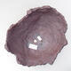 Ceramic Shell 21 x 20 x 16 cm, gray color - 3/3