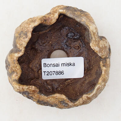 Ceramic shell 6 x 6 x 6 cm, brown color - 3