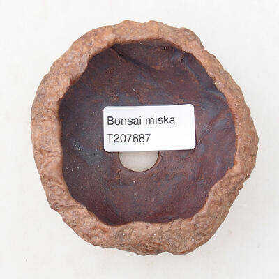 Ceramic shell 6 x 6 x 4.5 cm, brown color - 3