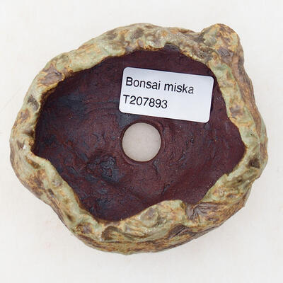 Ceramic Shell 7 x 5.5 x 5.5 cm, brown-green color - 3