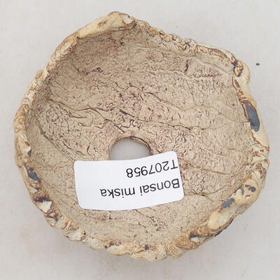 Ceramic shell 7 x 7 x 5.5 cm, gray-brown - 3
