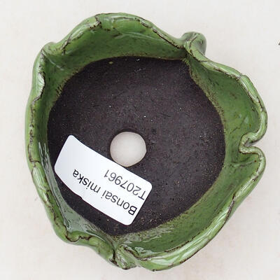 Ceramic shell 7.5 x 7 x 4.5 cm, color green - 3
