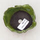 Ceramic shell 7 x 8.5 x 5.5 cm, color green - 3/3