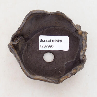 Ceramic shell 7.5 x 7 x 5.5 cm, brown color - 3