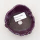 Ceramic shell 7.5 x 8 x 4 cm, color purple - 3/3