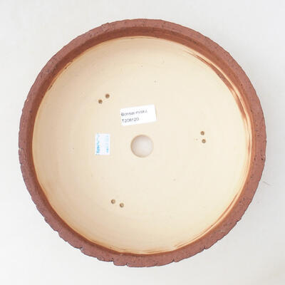 Ceramic bonsai bowl 23.5 x 23.5 x 7.5 cm, color crack yellow - 3