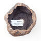Ceramic shell 6 x 6.5 x 5.5 cm, brown color - 3/3