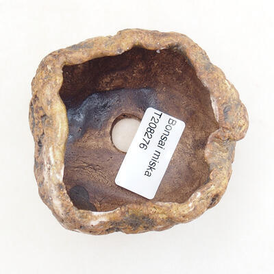 Ceramic shell 6.5 x 5.5 x 5 cm, brown color - 3