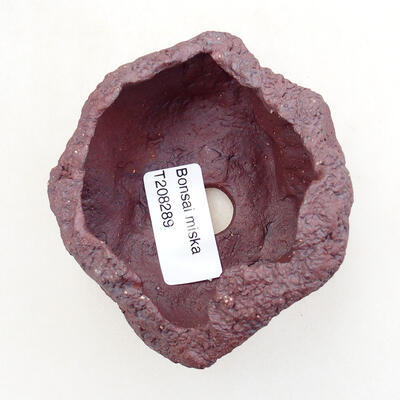 Ceramic shell 7.5 x 6.5 x 6 cm, gray color - 3