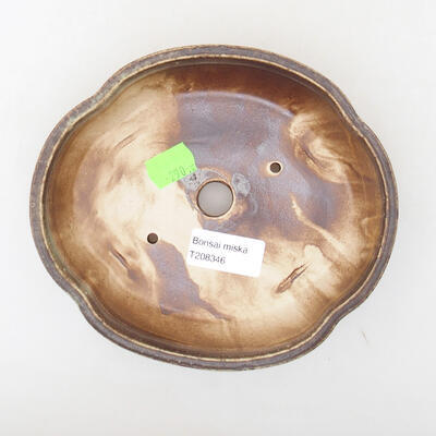 Ceramic bonsai bowl 17.5 x 15.5 x 4.5 cm, brown color - 3