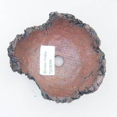 Ceramic Shell 9 x 9.5 x 5 cm, gray color - 3