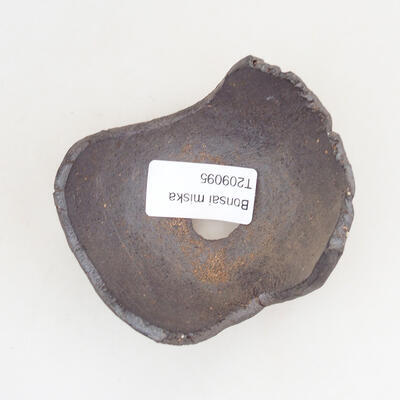Ceramic shell 7.5 x 6.5 x 5.5 cm, brown color - 3