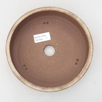 Ceramic bonsai bowl 18 x 18 x 4.5 cm, beige color - 3