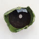 Ceramic shell 8 x 5.5 x 6 cm, color green - 3/3