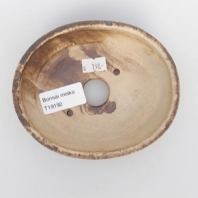 Ceramic bonsai bowl - 3