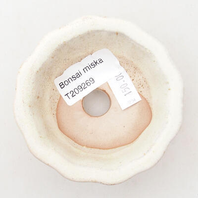 Ceramic bonsai bowl 8 x 8 x 4.5 cm, beige color - 3