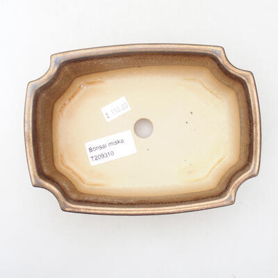 Ceramic bonsai bowl 16.5 x 12 x 5 cm, gold color - 3