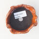 Ceramic shell 7.5 x 7.5 x 5 cm, color orange - 3/3