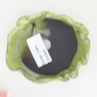Ceramic shell 8 x 7.5 x 5 cm, color green - 3