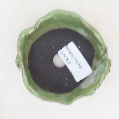 Ceramic shell 7.5 x 7 x 4.5 cm, color green - 3