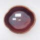 Ceramic bonsai bowl 18 x 16 x 6.5 cm, brown color - 3/3