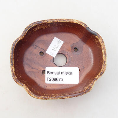 Ceramic bonsai bowl 10 x 8 x 3.5 cm, color yellow-brown - 3