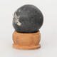 Suiseki - Stone with DAI (wooden pad) - 3/5
