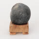 Suiseki - Stone with DAI (wooden pad) - 3/5