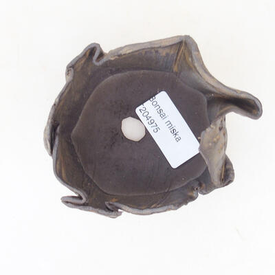 Ceramic shell 7 x 7 x 5 cm, color brown - 3