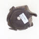 Ceramic shell 7 x 7 x 5 cm, color brown - 3/3
