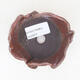 Ceramic shell 8 x 7.5 x 5 cm, brown color - 3/3