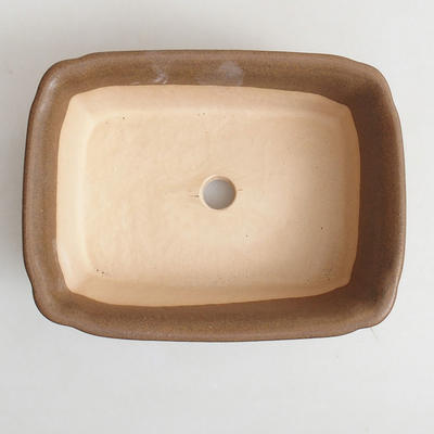 Bonsai bowl H 50 - 16.5 x 12 x 6 cm, Brown - 3