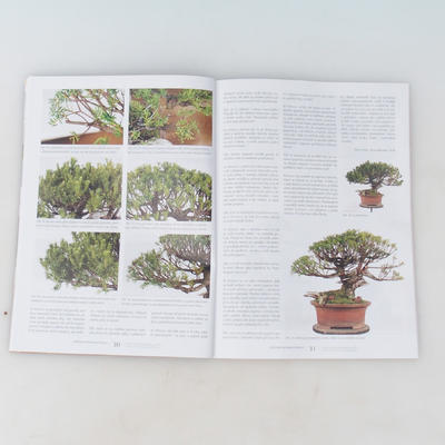 Bonsai and Japanese Gardens No.58 - 3