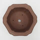 Bonsai bowl 22 x 22 x 12 cm - Japanese quality - 3/7