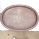 Bonsai bowl 120 x 88 x 14 cm - Japanese quality - 3/7