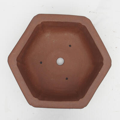Bonsai bowl 34 x 31 x 12 cm - Japanese quality - 3