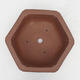 Bonsai bowl 34 x 31 x 12 cm - Japanese quality - 3/7