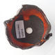 Ceramic shell 9 x 8 x 5 cm, color orange - 3/3