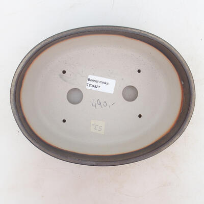 Bonsai bowl 22 x 17 x 7 cm, color brown - 3