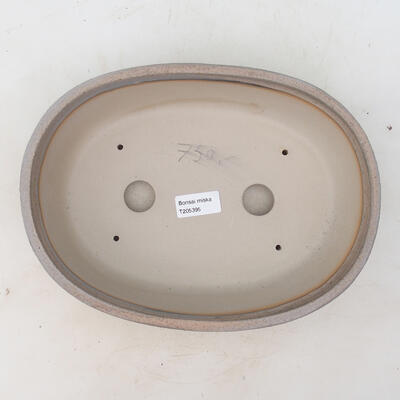 Bonsai bowl 27.5 x 20.5 x 8.5 cm, gray-beige color - 3