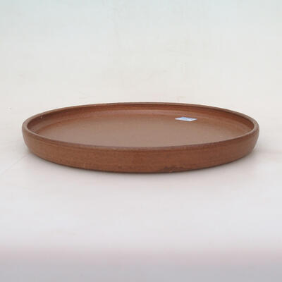 BONSAI CONDITIONER HAND-ROLLED - 23 X 23 X 2.5 CM, COLOR BROWN - 3