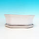 Bonsai bowl + tray H 13 - bowl11,5 x 11,5 x 4,5 cm, tray 11,5 x 11,5 x 1 cm, white - bowl 11,5 x 11,5 x 4,5 cm, tray 11,5 x 11,5 x 1 cm - 3/3