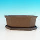 Bonsai bowl tray H14 - bowl 17,5 x 17,5 x 6,5, tray 17,5 x 17,5 x 1,5, brown - bowl 17,5 x 17,5 x 6,5, tray underneath 17,5 x 17,5 x 1,5 - 3/4