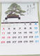 Bonsai wall calendar 2021 - 3/3