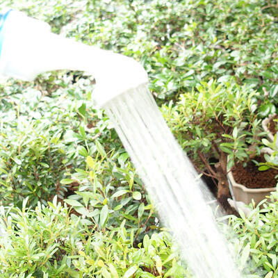 Plastic bonsai sprinkler for bottle 2 pcs, grey - 3